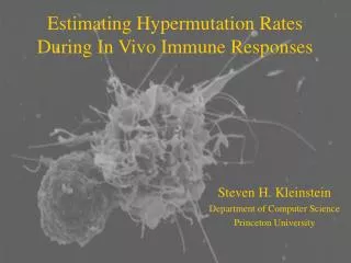 Estimating Hypermutation Rates During In Vivo Immune Responses