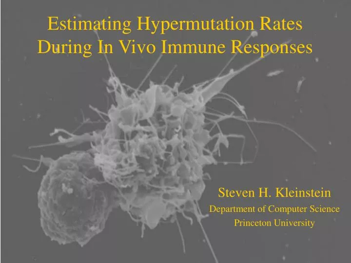 estimating hypermutation rates during in vivo immune responses