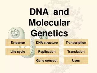 DNA and Molecular Genetics