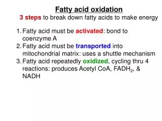 Fatty acid oxidation 3 steps to break down fatty acids to make energy