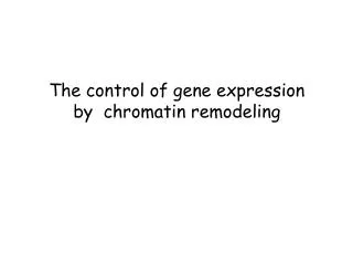 The control of gene expression by chromatin remodeling