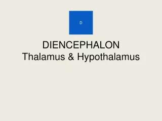 DIENCEPHALON Thalamus &amp; Hypothalamus