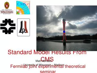 Standard Model Results From CMS