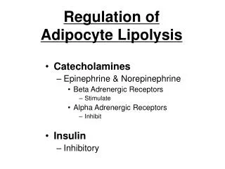 Regulation of Adipocyte Lipolysis