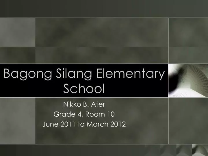 bagong silang elementary school