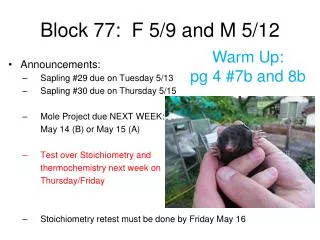 Block 77: F 5/9 and M 5/12