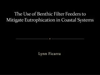 the use of benthic filter feeders to mitigate eutrophication in coastal systems