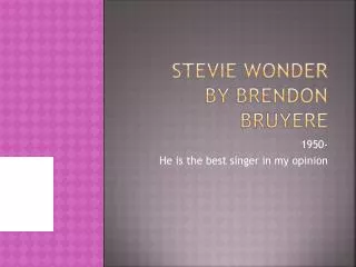 Stevie wonder by brendon bruyere