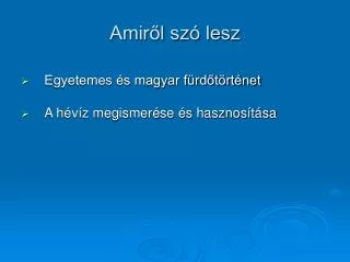amir l sz lesz