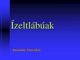 zeltl b ak