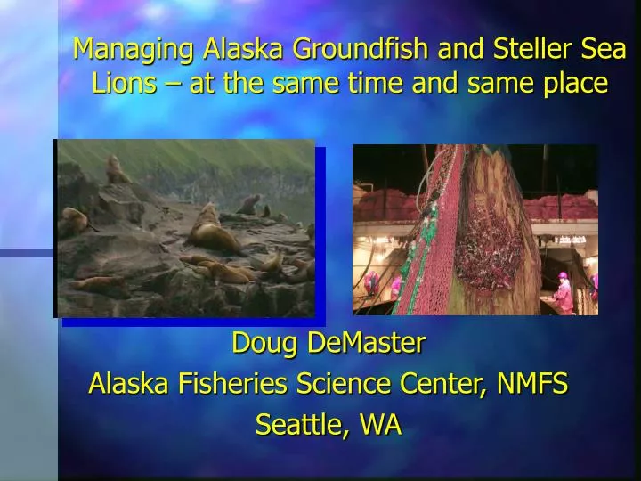 managing alaska groundfish and steller sea lions at the same time and same place