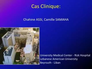 chahine assi camille samaha