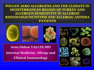 Arzu Didem YALCIN.MD Internal Medicine, Allergy and Clinical Immunology