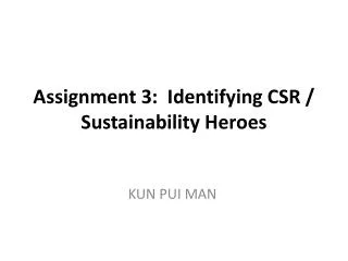 Assignment 3: Identifying CSR / Sustainability Heroes