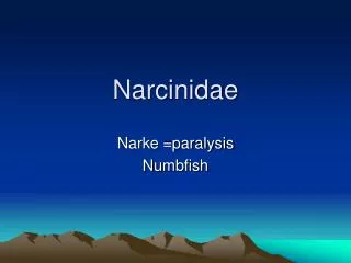 Narcinidae