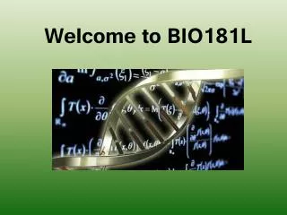 Welcome to BIO181L