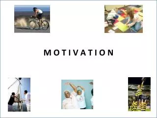 m o t i v a t i o n