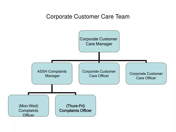 corporate customer care team