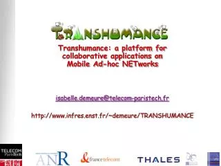 Transhumance: a platform for collaborative applications on Mobile Ad-hoc NETworks