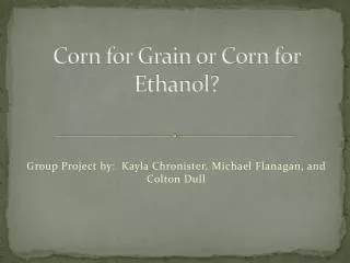Corn for Grain or Corn for Ethanol?