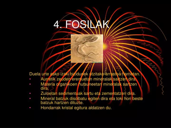 4 fosilak