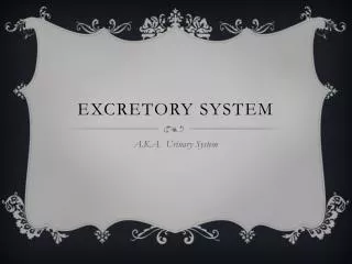 excretory system