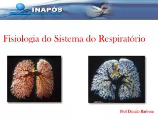 Fisiologia do Sistema do Respiratório