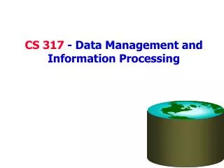 CS 317 - Data Management and Information Processing