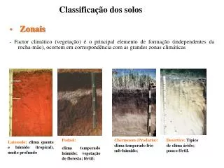 classifica o dos solos