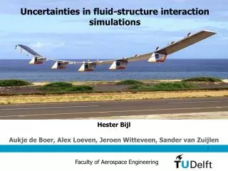 Uncertainties in fluid-structure interaction simulations