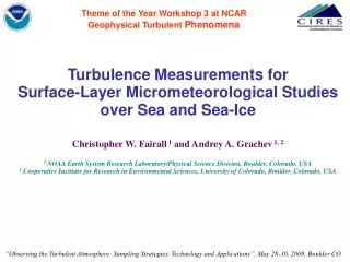 Theme of the Year Workshop 3 at NCAR Geophysical Turbulent Phenomena