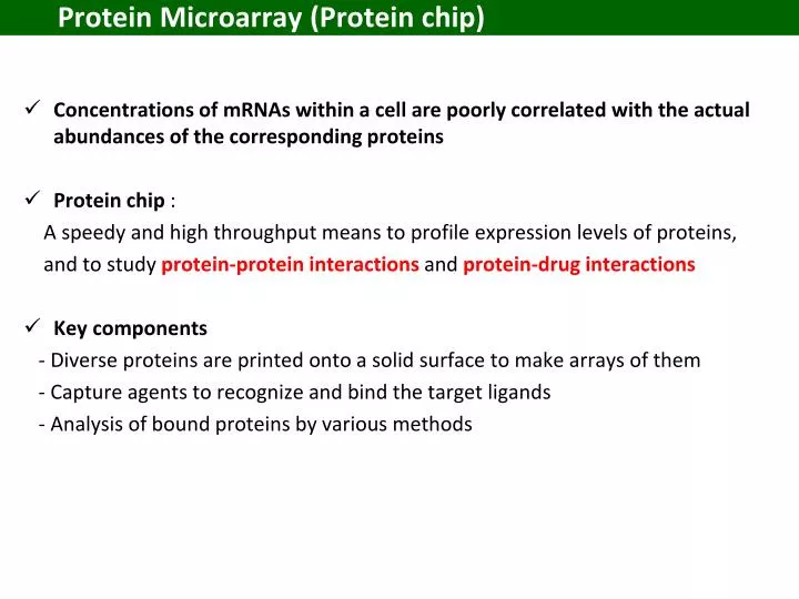 protein microarray protein chip
