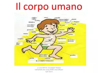 il corpo umano