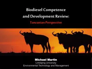 Biodiesel Competence and Development Review: Tanzanian Perspective
