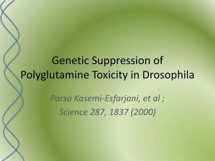 genetic suppression of polyglutamine toxicity in drosophila