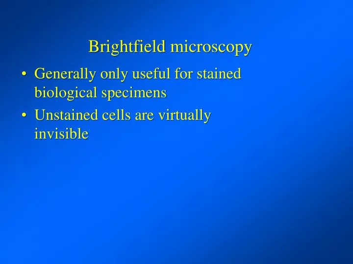 brightfield microscopy
