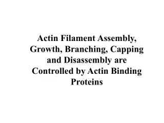 Actin Filament Assembly, Growth, Branching, Capping and Disassembly are