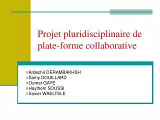 projet pluridisciplinaire de plate forme collaborative