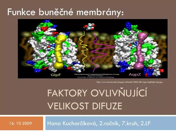 faktory ovliv uj c velikost difuze