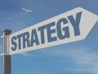 Hubungan Sistem Pengendalian Manajemen dan Strategi Bisnis