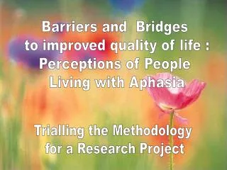 Barriers and Bridges to improved quality of life : Perceptions of People Living with Aphasia