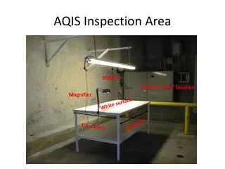 AQIS Inspection Area