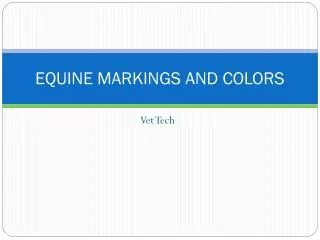 EQUINE MARKINGS AND COLORS