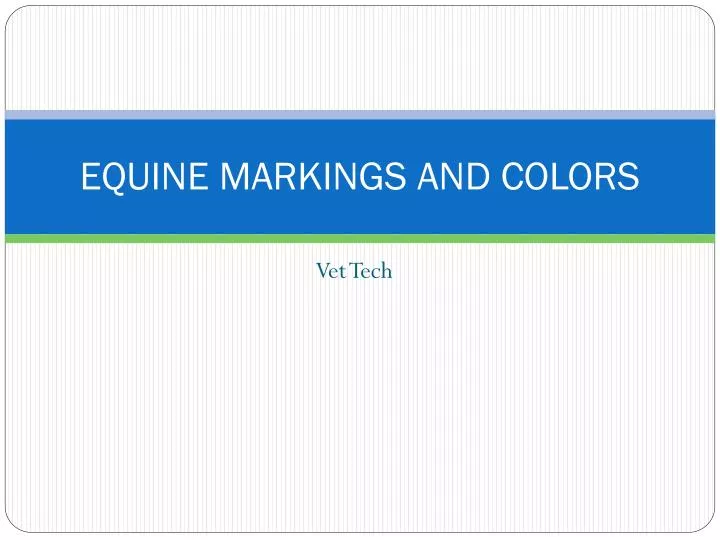 equine markings and colors