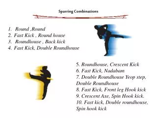 Sparring Combinations