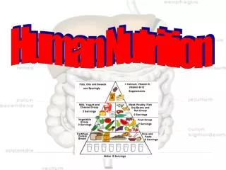 Human Nutrition