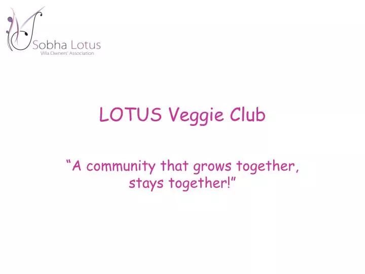 lotus veggie club