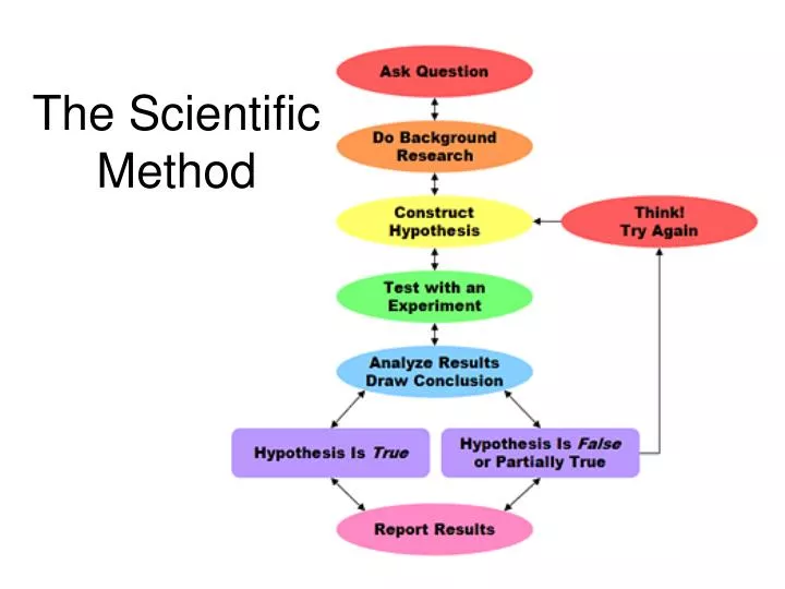 the scientific method