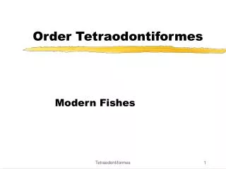 Order Tetraodontiformes