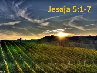 jesaja 5 1 7